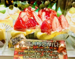 IMG_4121 (1)